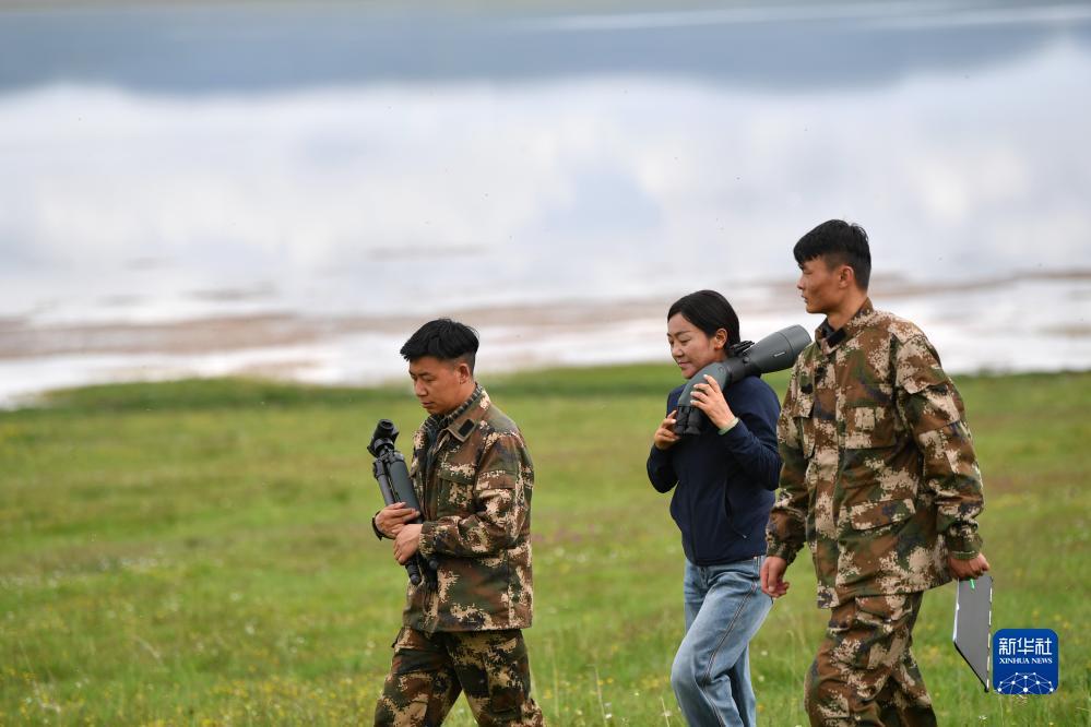 太阳集团81068网址